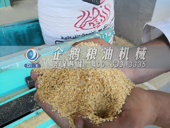 米糠油精煉設備，企鵝機械不斷創(chuàng)新提升工藝效果(圖2)
